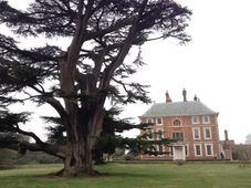 Forty Hall, Enfield, London - Bat Surveys of Trees image #1